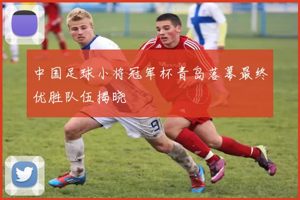 中国足球小将冠军杯青岛落幕最终优胜队伍揭晓