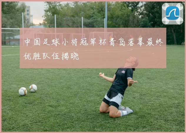 中国足球小将冠军杯青岛落幕最终优胜队伍揭晓