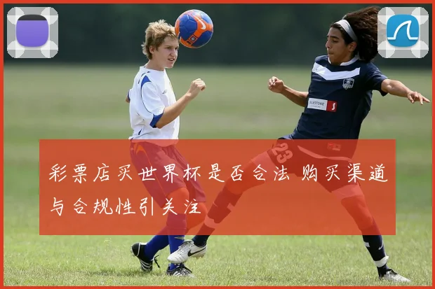 彩票店买世界杯是否合法 购买渠道与合规性引关注